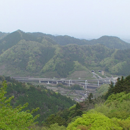 高尾山 森の特徴