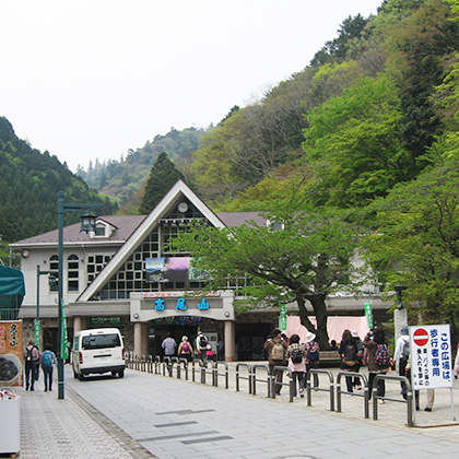 高尾山 森への取り組み