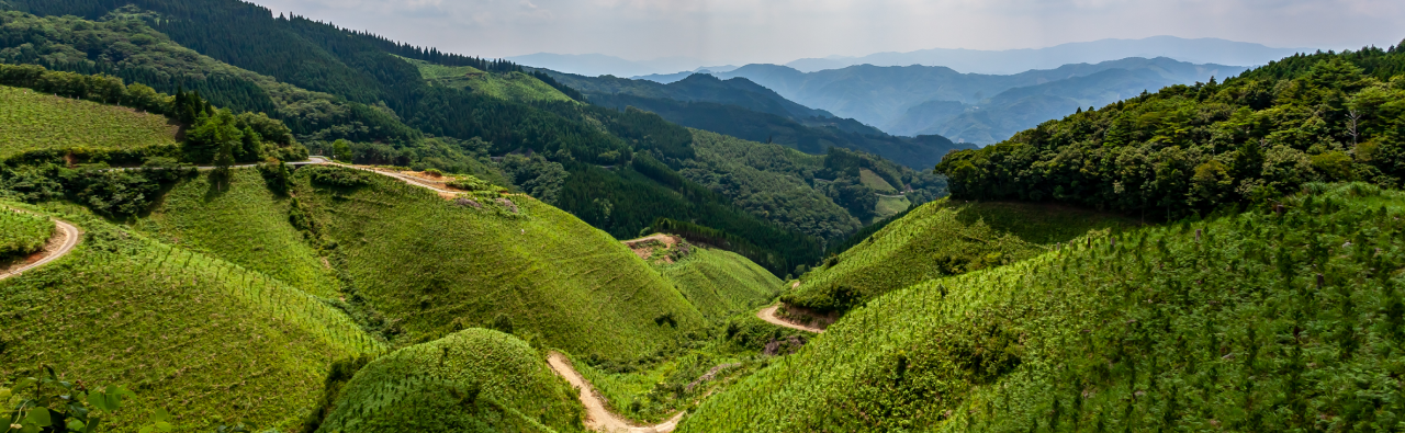 諸塚村