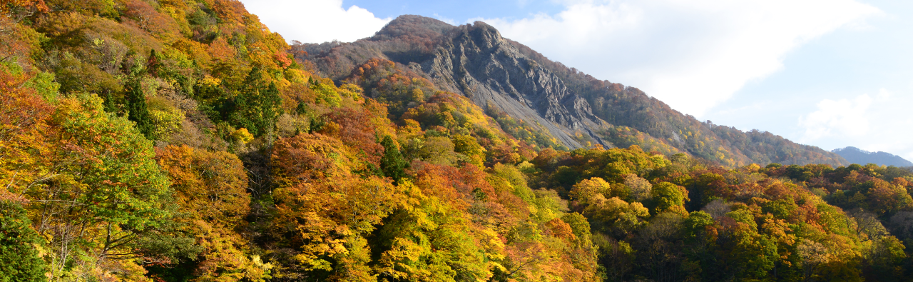 白神山地