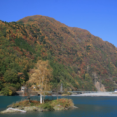 やまなし水源地 森の特徴